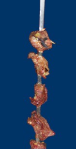 Espetada de Frango (chicken on a skewer)